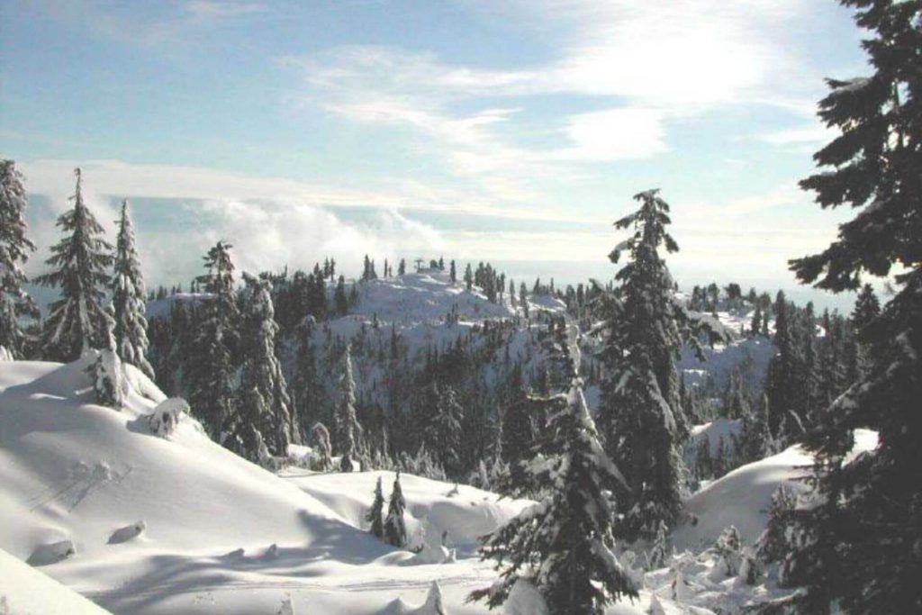 Mount Seymour