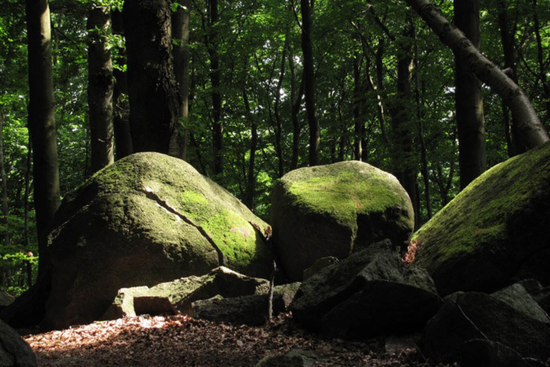 Der Odenwald bietet ein ruhiges Umfeld zum Bouldern