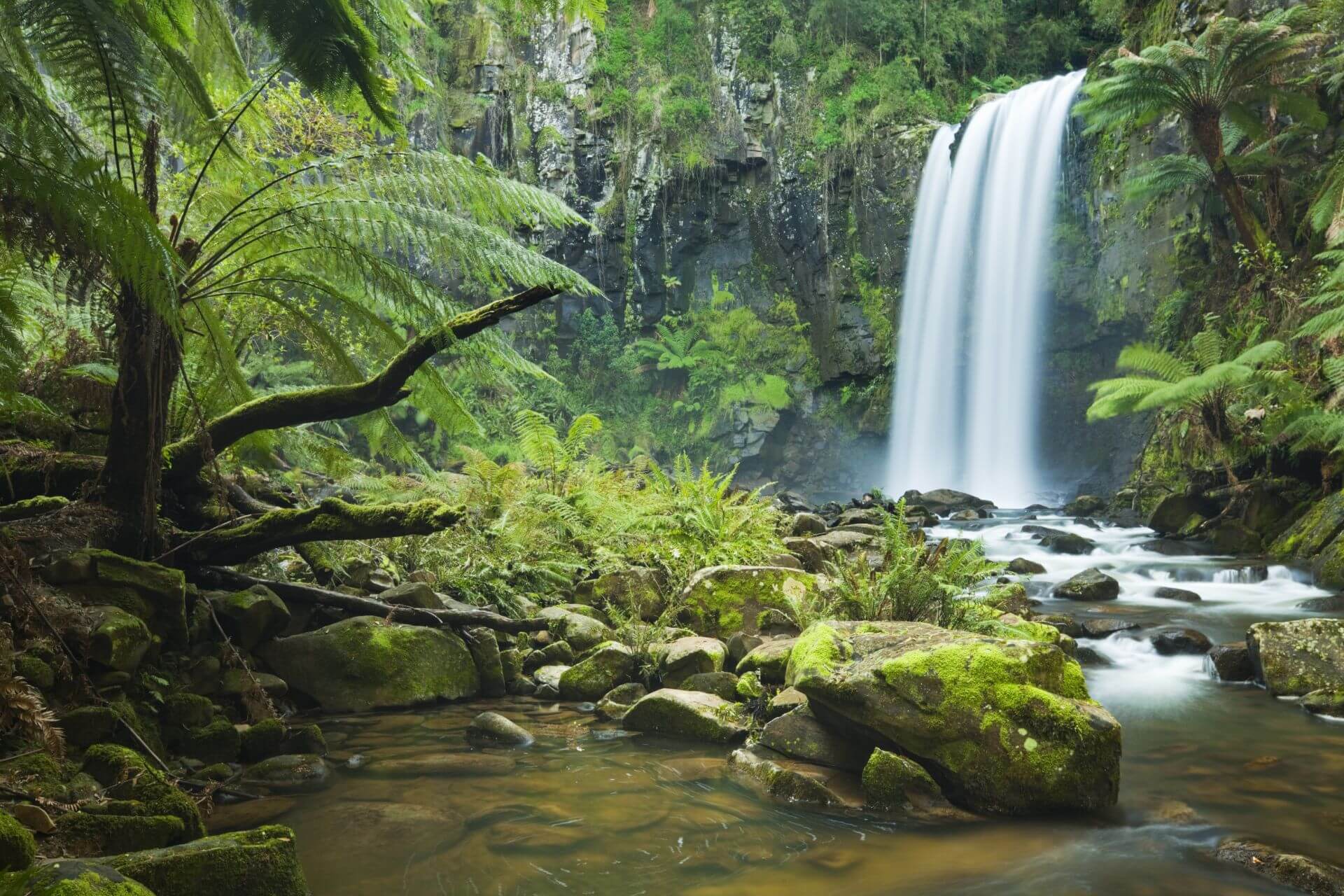 Der Hopetoun Falls im Great Otway National Park in Victoria