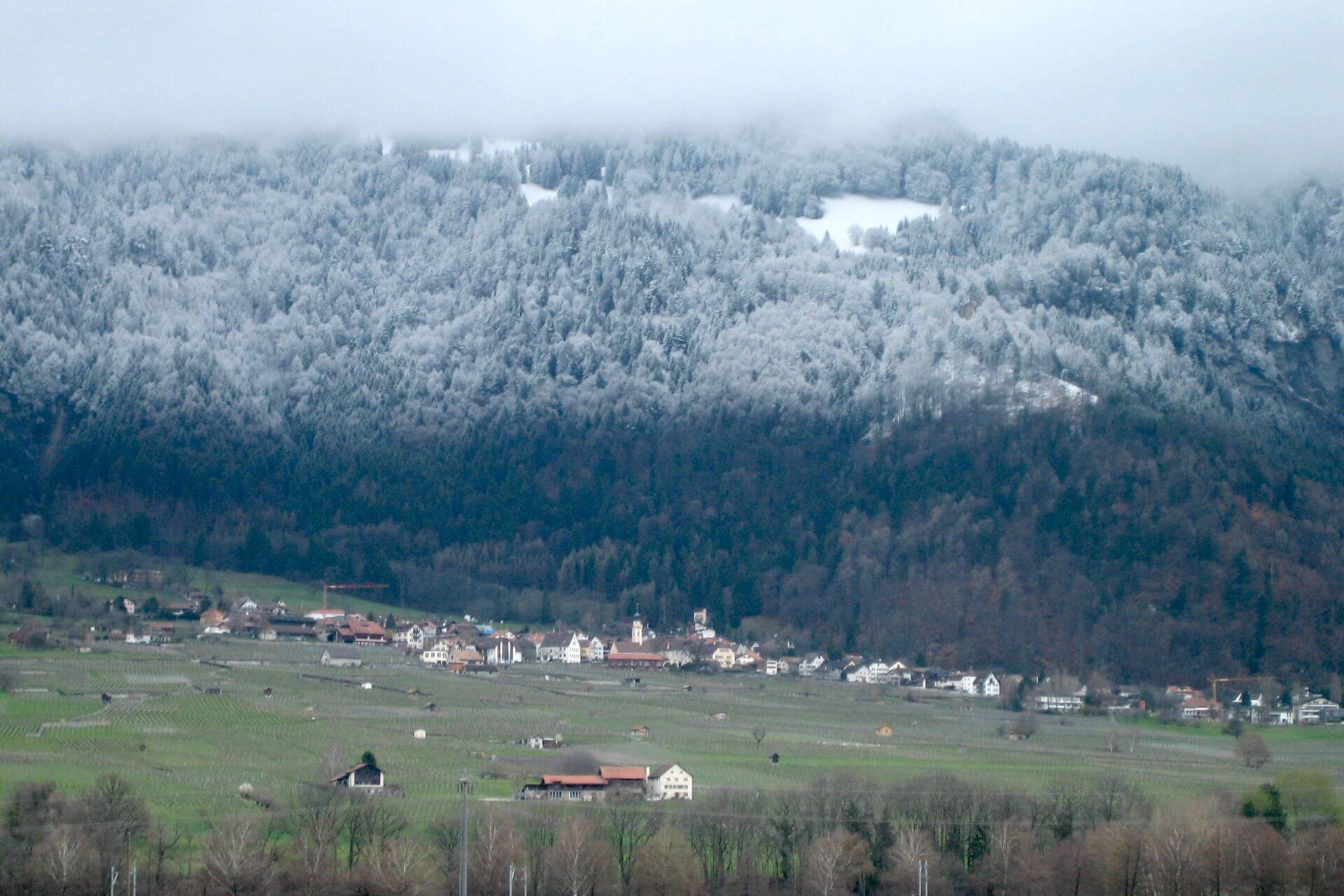 Schneevorhersage